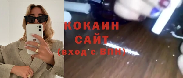 хмурый Гусь-Хрустальный