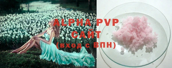 хмурый Гусь-Хрустальный
