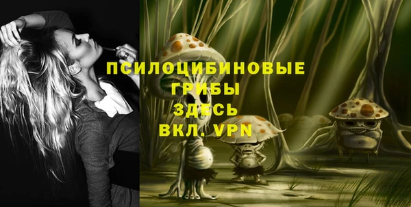 экстази Гусиноозёрск