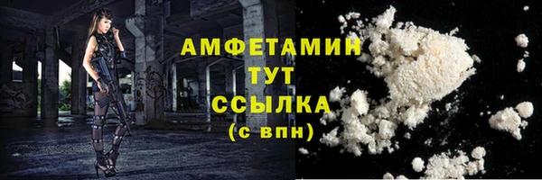 спайс Гусев