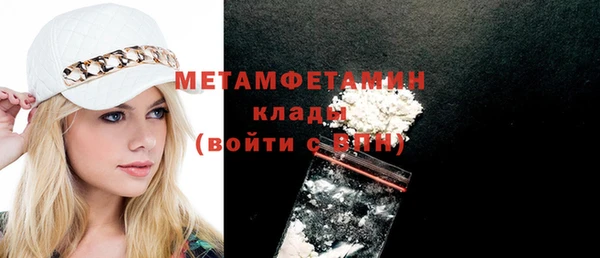 хмурый Гусь-Хрустальный