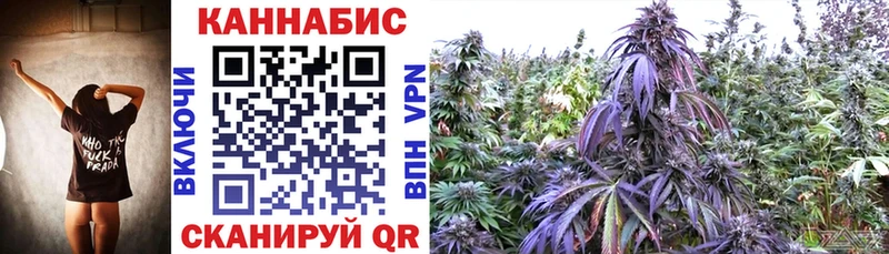 Купить закладки  Новая Ляля  Шишки марихуана конопля 